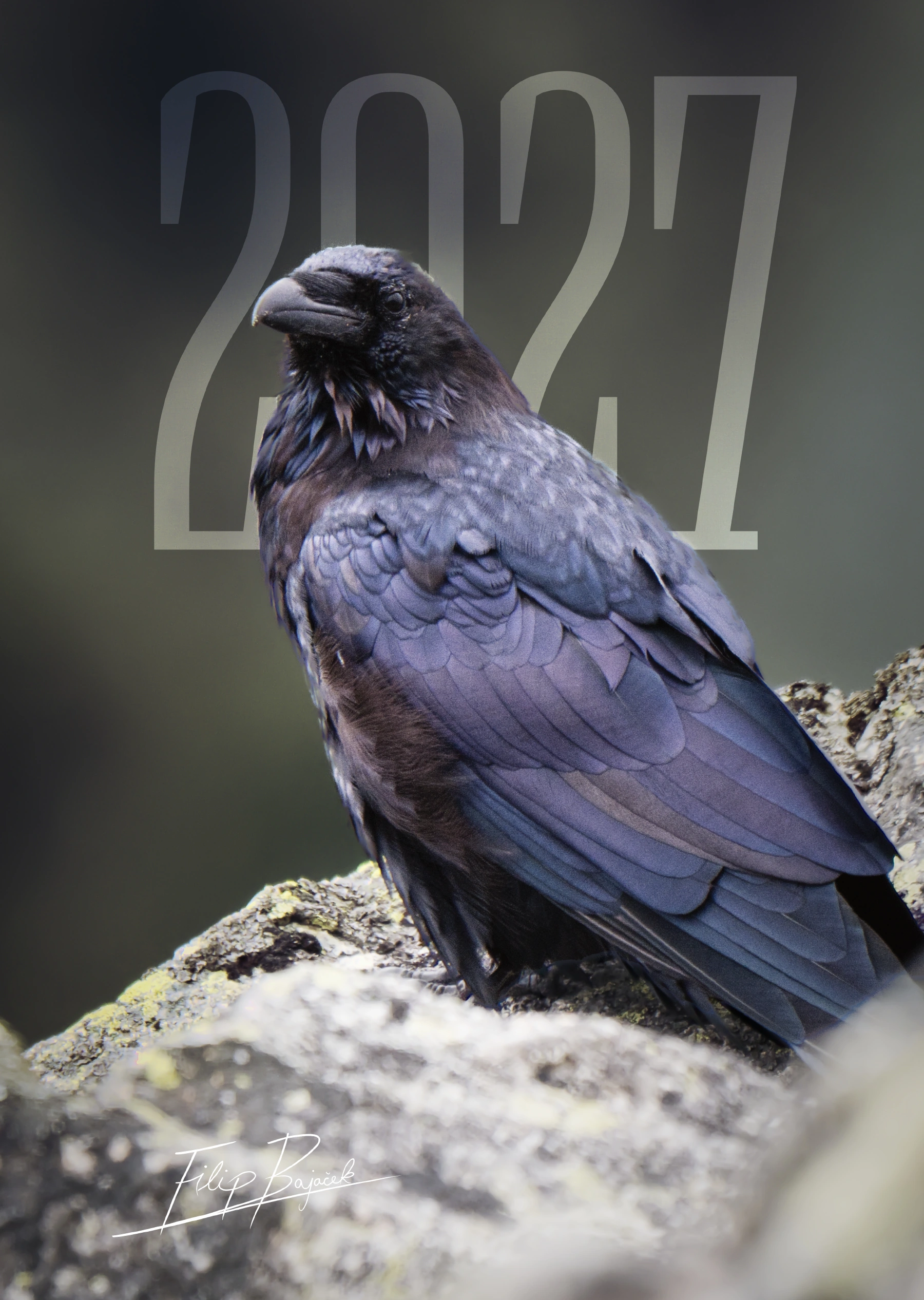 Cover of Filip Bajacek's 2027 wildlife calendar